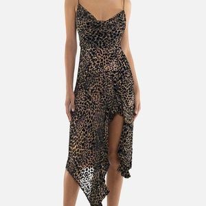 Misha Collection Emilia Midi Dress XS / US 2